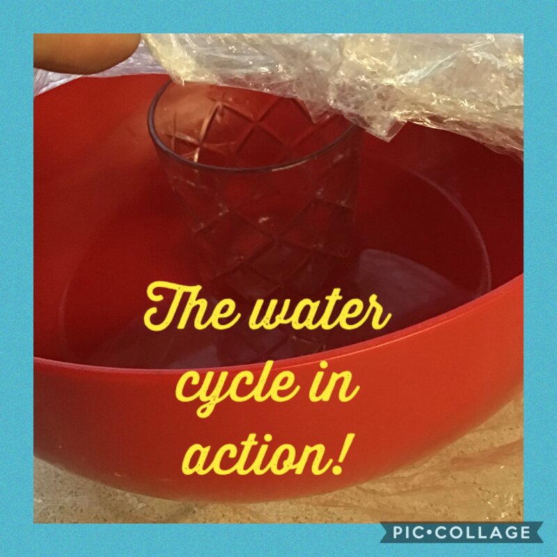 Image of The water cycle 