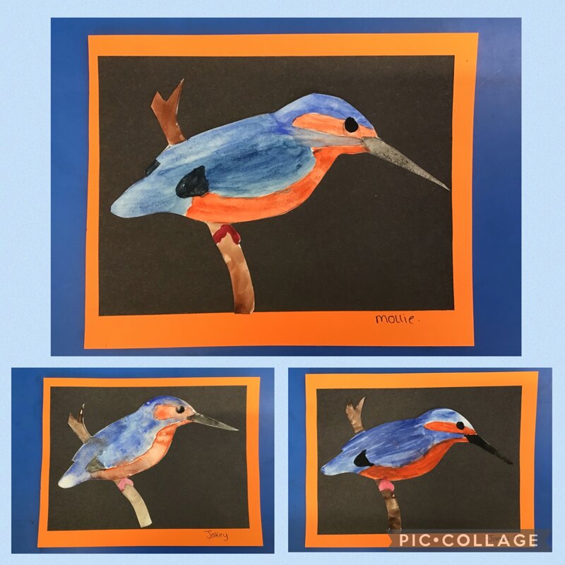Image of Kingfishers! 