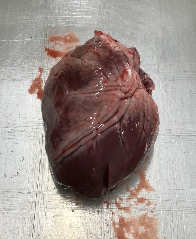 Image of Blood Heart!