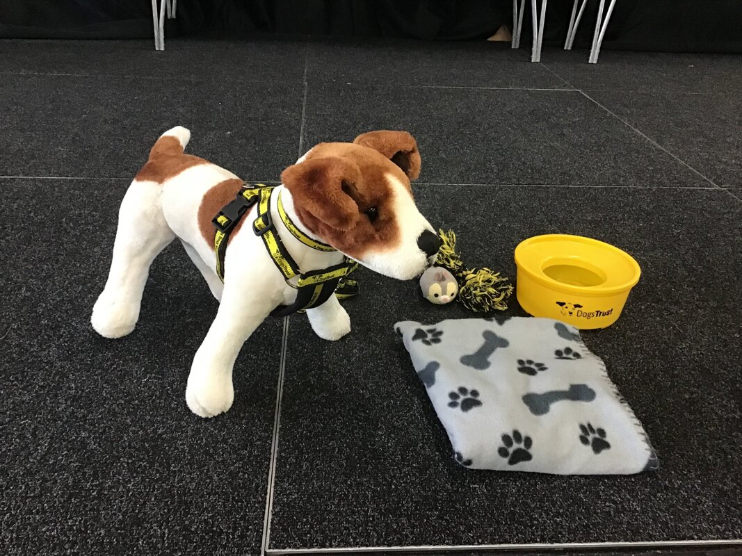 Image of Dogs Trust Visit
