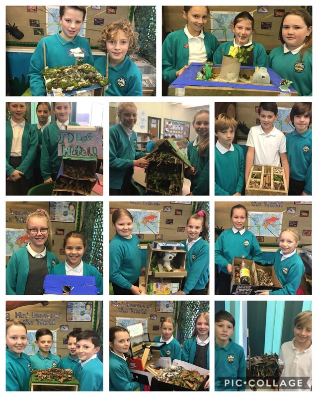 Image of Our Bug Hotels