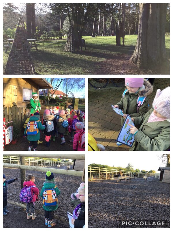 Image of Our Trip to the Christmas Elf Trail