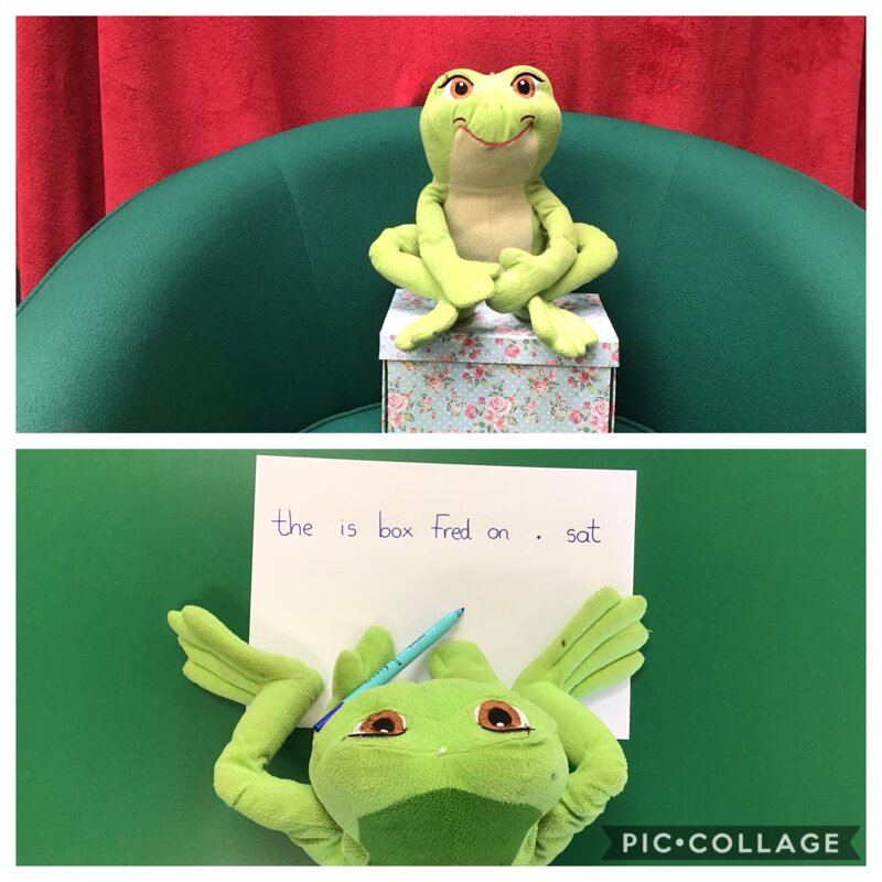 Image of Fred the Frog - Jumbled Sentence