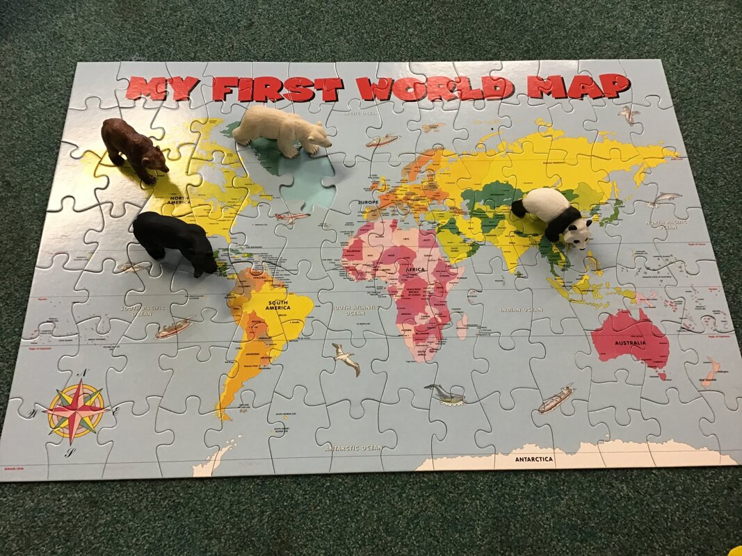 Image of Where in the world do bears live?