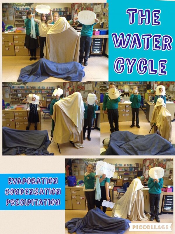 Image of Human water-cycle!