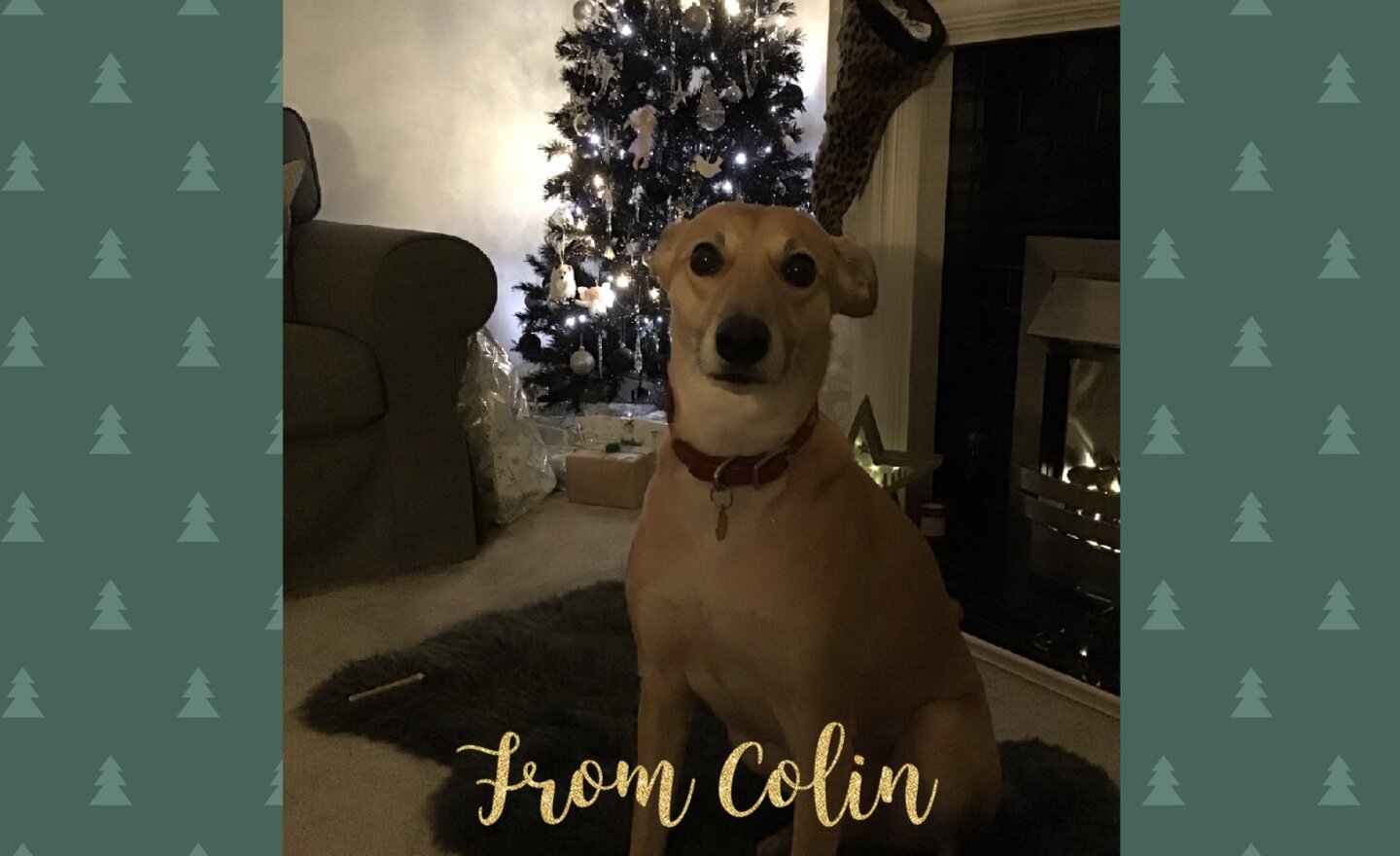 Image of Merry Christmas from Colin!