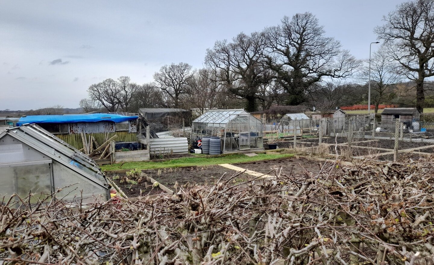 Image of Allotment!