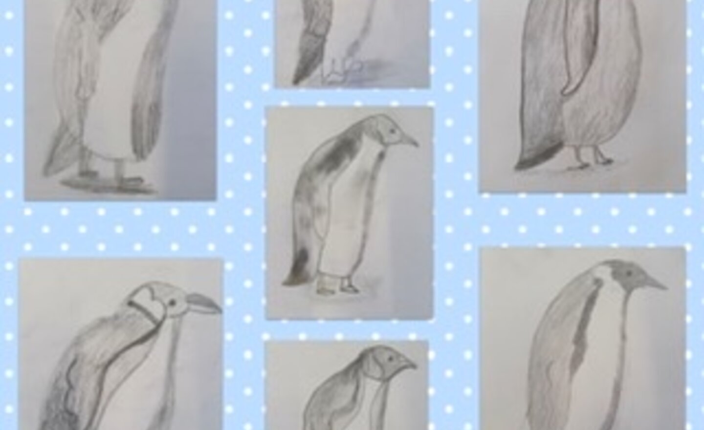 Image of Peer Critique - The Galápagos Penguin 