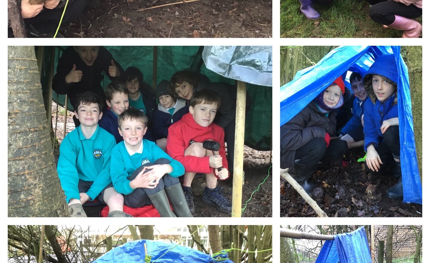 Image of Shelters for survival