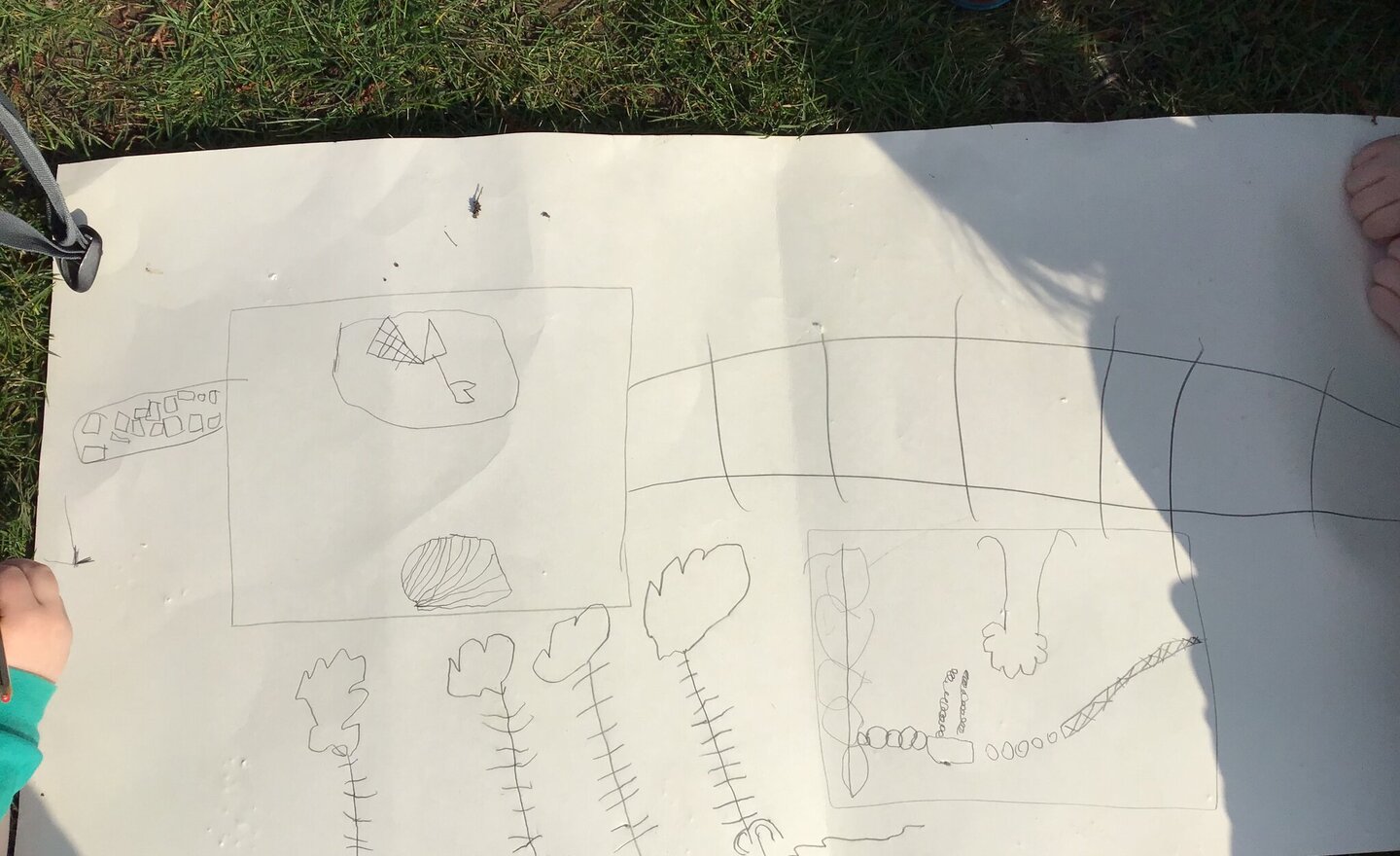 Image of Creating Maps Of Our School Grounds