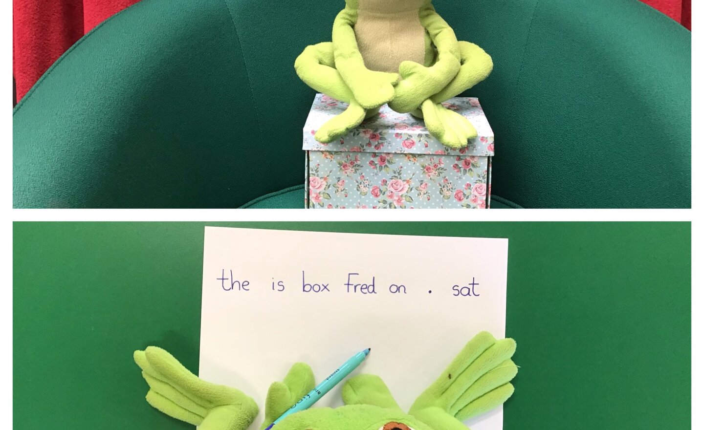 Image of Fred the Frog - Jumbled Sentence