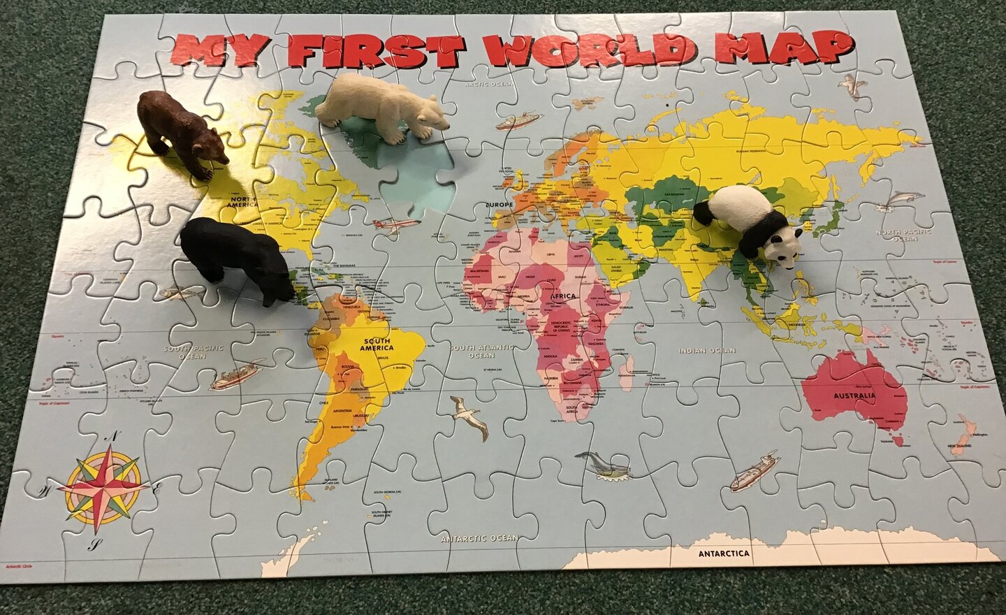 Image of Where in the world do bears live?