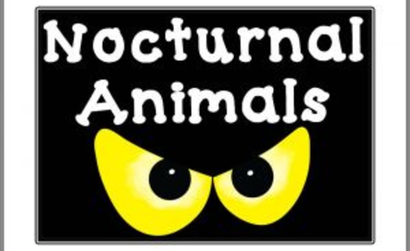 Image of Junk Modelling Nocturnal Animals & Diorama's