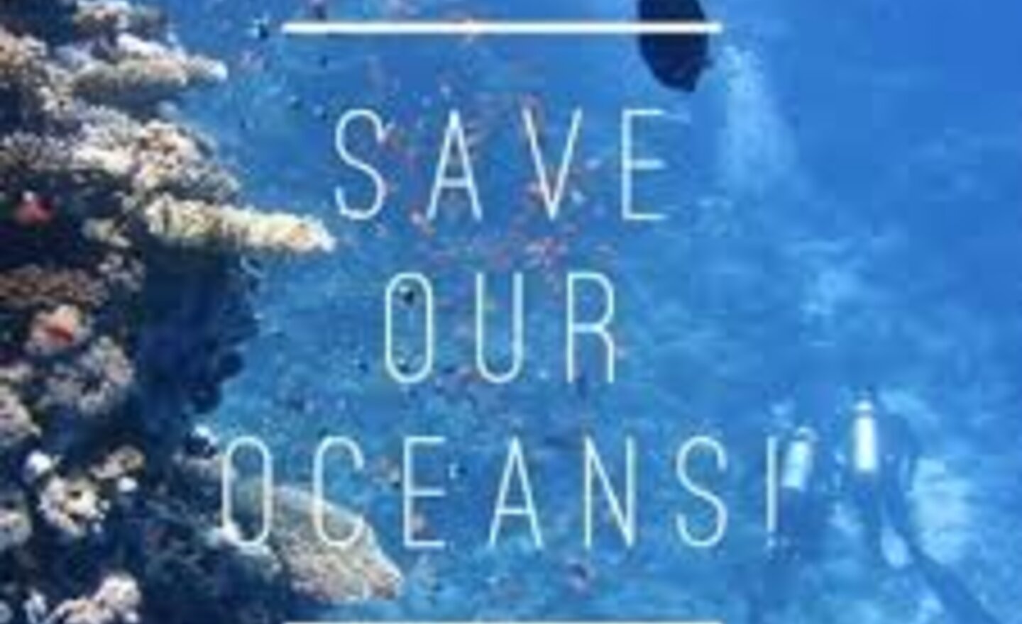 Image of Save Our Oceans Video!