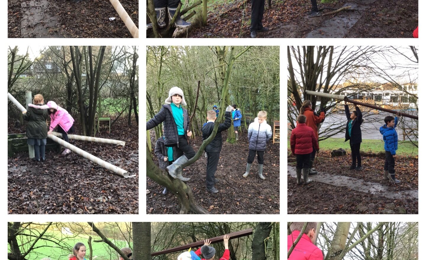 Image of Teamwork in the great outdoors!