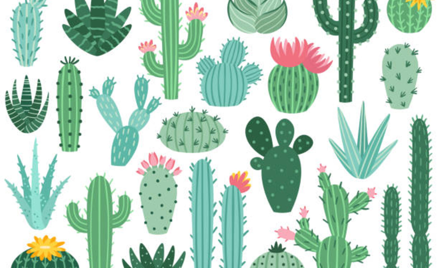 Image of Amazing cacti plant reports!