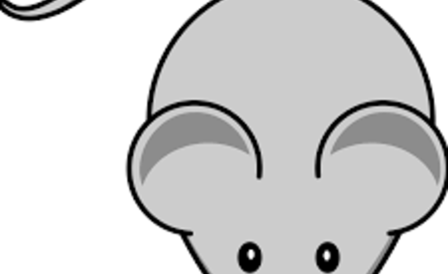 Image of I-Spy a mouse